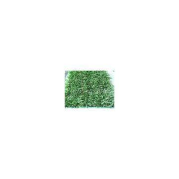 Evergreen11600Dtex Outdoor Artificial Grass for Landscape, 20 mm Synthetic Turf Gauge 3/8