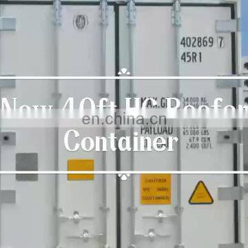 ISO Standard CSC Certified Brand New 20ft 40ft Refrigerator Storage Container Frozen Fish Transport Container