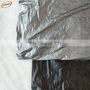 Wholesale mulching film with hole for agriculture