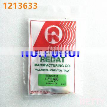 REDAT overhaul kit / repair kit1213633 1 213 633 for CAT 320D with best price