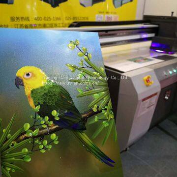 Caiyi UV Flatbed Printer (CY-UV2030) for wood, steel, glass and ceramic