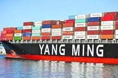 FOB Sea Freight From China to Jeddah/Aqaba /Sokhna Shipment Service FCL photo-4