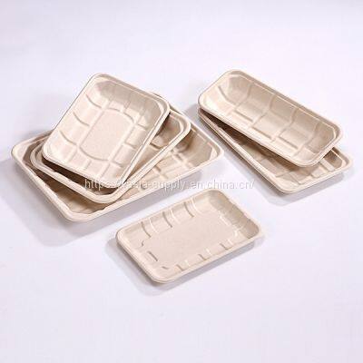 Disposable tableware bagasse ECO sugarcane meat tray supplier