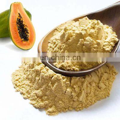 SAMPLE 100% NATURAL CHEAP PRICE PAPAYA POWDER MADE IN VIET NAM