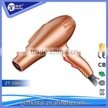 ZT-3368 Fashion Ionic Hair Dryer Salon Quality Blower Dryer