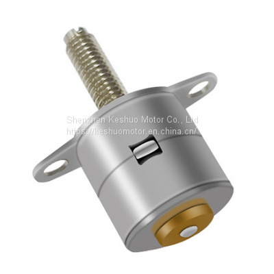 10BY Stepper Motor photo-3