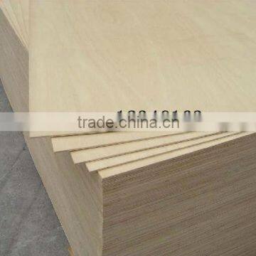 poplar plywood