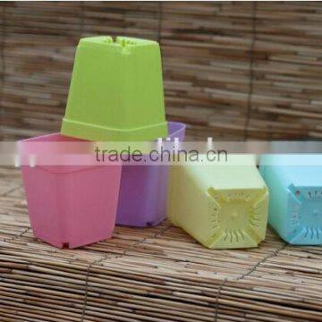 mini PP plastic flower pot colorful