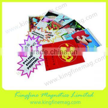 printed magnet,eco-solvent printer