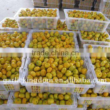 sell 2011 fresh mandarin orange