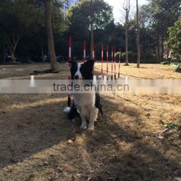 Dog Agility dog training 6 training direction post adjustable slalom