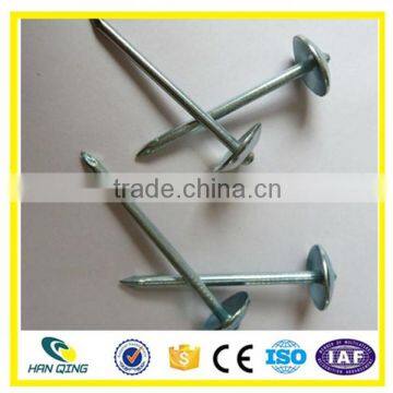 Hot Dipped Galvanized Roofing Nail With Ring Shank photo-5