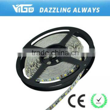 Led Lights China Wholesale 5050 Led Decorative Strip photo-3