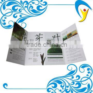 OEM Guangzhou factory high quality offset printing booklet printing