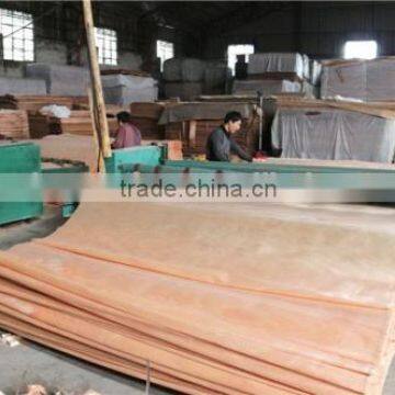 Core Veneer 1.7mm - 100% Grade a photo-6