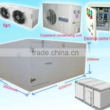 Prefabricated Cold Room / Freezer room (OEM Design)