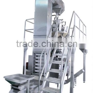 Packing System with Vertical Form Fill Seal Packing Machine