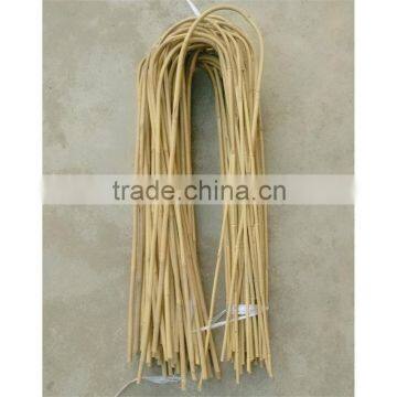 High quality bamboo trellie cheap bamboo bent U bent bamboo