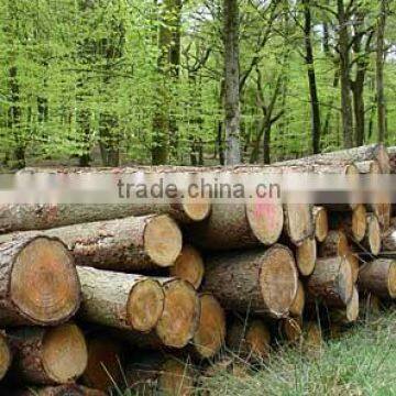 Laminated Board With High Density photo-6