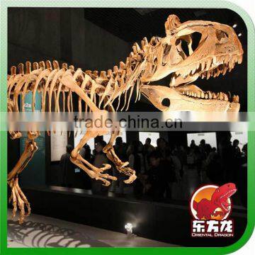 Hot Sale Dinosaur Fossil Model for Outdoor Playground