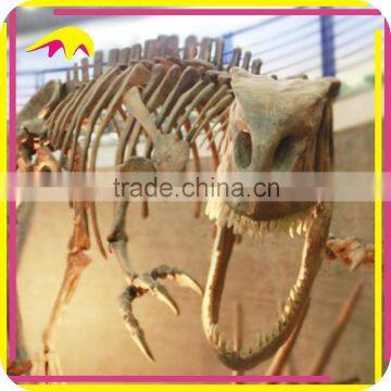 KANO4376 Realistic Handmade Skull Dinosaur Skeleton Replica