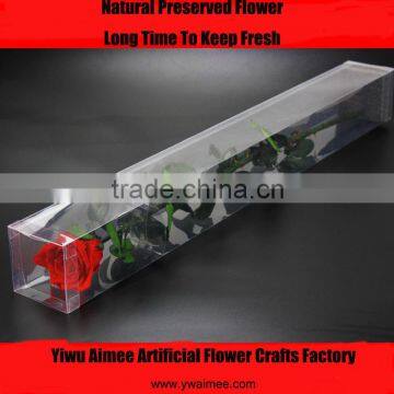 2016 Yiwu Aimee wholesale dubai importers hotsale preserved fresh flower(AM-PF03)