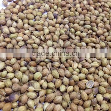 CORIANDER SEEDS