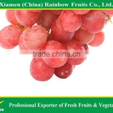 Export Delicious Sweet Fresh Red Globe Grape Red Globe Grape From China