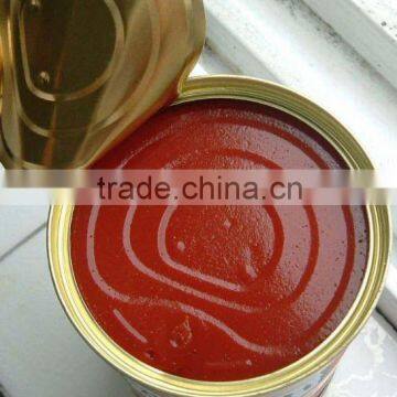 canned tomato paste