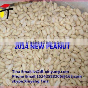 shandong/wholesale peanuts/groundnut