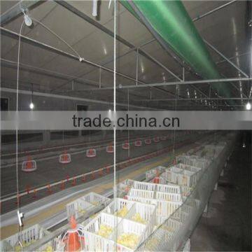 Feeding System for Chicken Farm photo-5