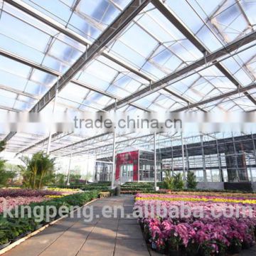 Chrysanthemum growing glass greenhouse