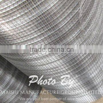 50x50mm Galvanized Steel Wire Mesh Panels photo-2