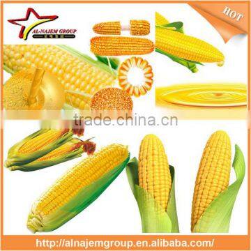 Best Price Corn Oil Filling Maker Machine Filling Equipment photo-2