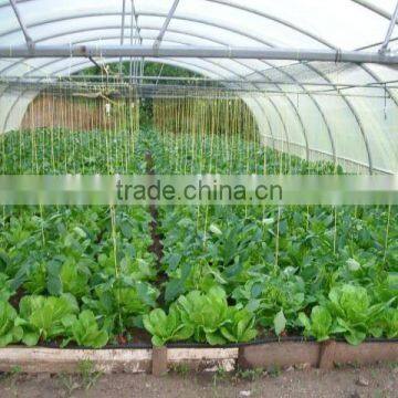 Agriculture Used Polythene Film Covering Greenhouse photo-3