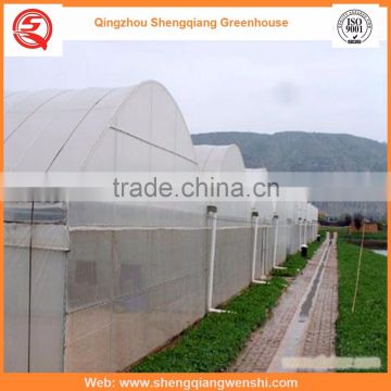 High quality 12m multi-span agriculture plastic film greenhouse for sale