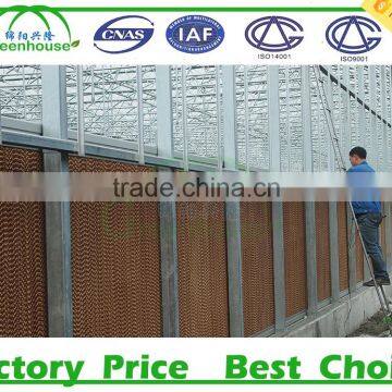 Industrial Evaporative Cooling Pad Water Air Cooler Price photo-3