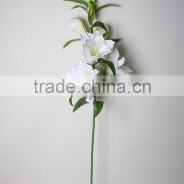 Natural Vallota Speciosa Fabric Vallota Speciosa Decorative Vallota Speciosa Artificial Flower for Wholesale photo-3