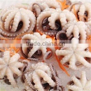 premium quality frozen small baby octopus flower with faster delivery