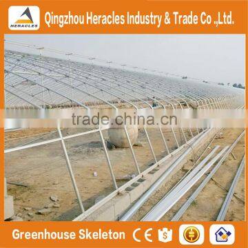 Heracles Trade Assurance Vegetable Seeds Greenhouse photo-6