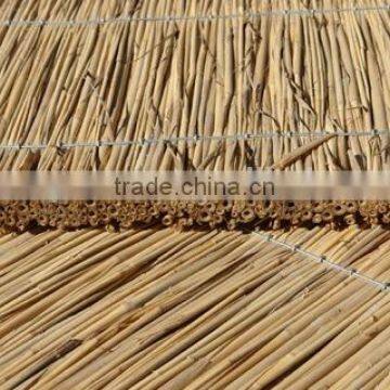 Reed Pannel for Roof photo-2