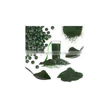 Spirulina Extract