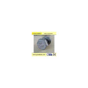 ASTM A325 High Strength Bolts For Steel Structure