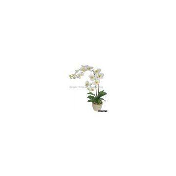 artificial phalaenopsis flower bush