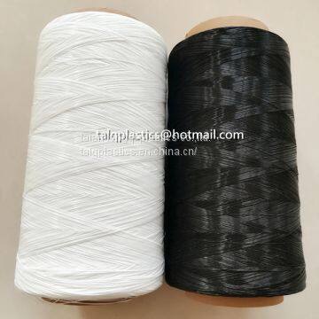 Monofilament Yarn pe pp Yarn Polyethylene Thread String photo-3