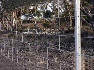 Y POST/good Quality/pvc Coated Y Post photo-3