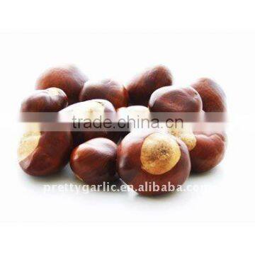 Chinese fresh chestnuts