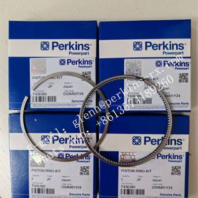 Perkins piston ring assembly T436380
