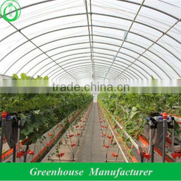 vegetable tunnel greenhouse