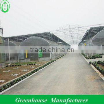 agriculture greenhouse fabric, pc sheet greenhouse